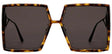 DIOR Bronze Injected Sunglasses for Men