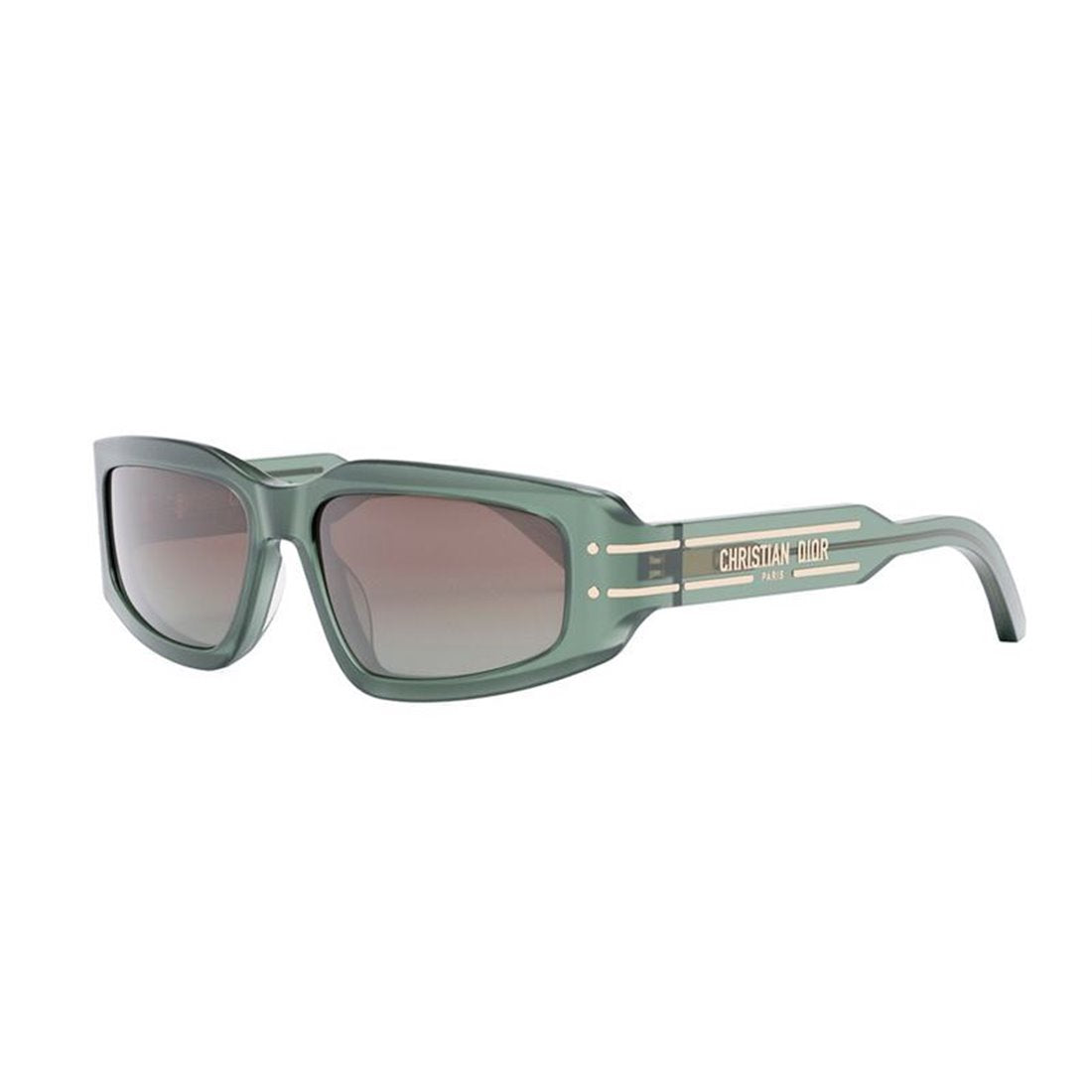 DIOR Chic Signature Acetate Sunglasses for Women - 52V