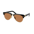 MIU MIU Chic Black Acetate Sunglasses with Brown Lenses